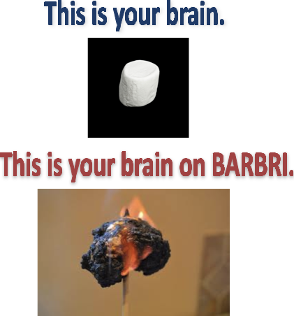 BARBRI brain